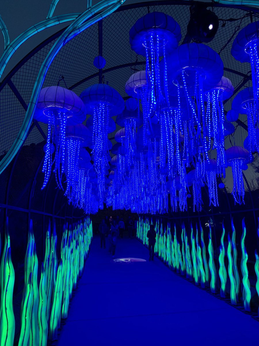 daveefreedom's tweet image. Living Zoo in Palm Springs during Glow Park.