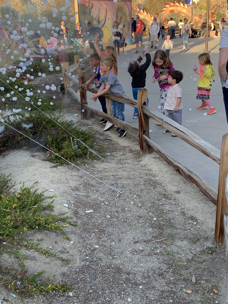 daveefreedom's tweet image. Love the zoo with grandkids!