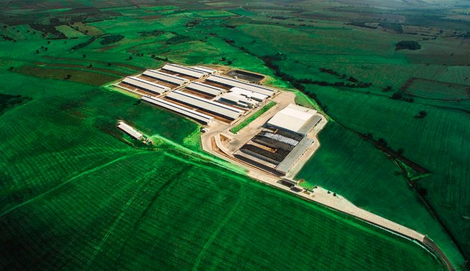 Gerçek Süt: A2 Süt  
Bu bilgiselde sizi çok değerli ve yaptığı işi görünce henüz yüz yüze tanışamamış olsam da derin saygı duyduğum bir isim olan <a href="/akifhut/">Mehmet Akif HUT🇹🇷🌊Gezgin⛵️🐂 Çoban🐄 Mapuche🌿</a>
ile tanıştırmak istiyorum. Konumuz, binlerce yıl öncesinin, genetik mutasyona uğramamış, %100 saf ve gerçek sütü olan A2 süt.