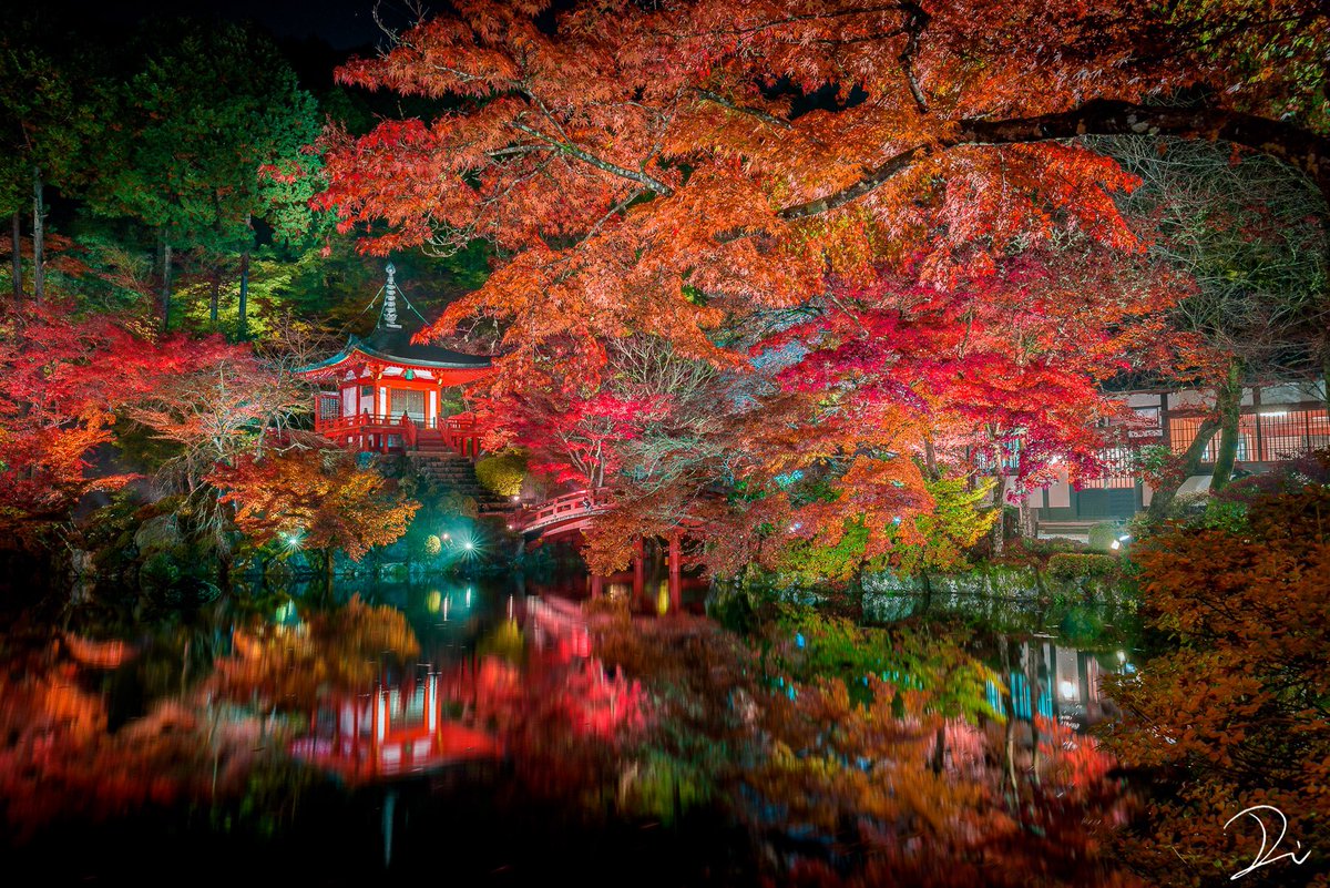 usalica's tweet photo. 幻想的な京都の四季風景

 #これでフォロワーさん増えました https://t.co/fsfV6DdPit