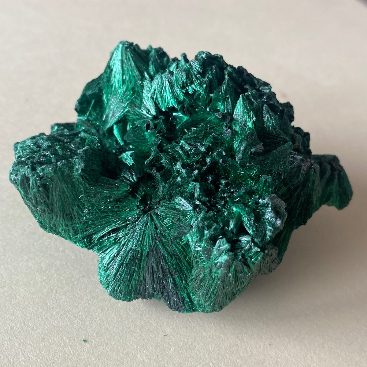 biotropicalism's tweet photo. Gorgeous chuck of fibrous malachite that my mom brought back from the Tucson Gem and Mineral Show. So pretty! https://t.co/VKekBLyWBk