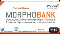 MorphoBank @morphobank@ecoevo.social tweet media