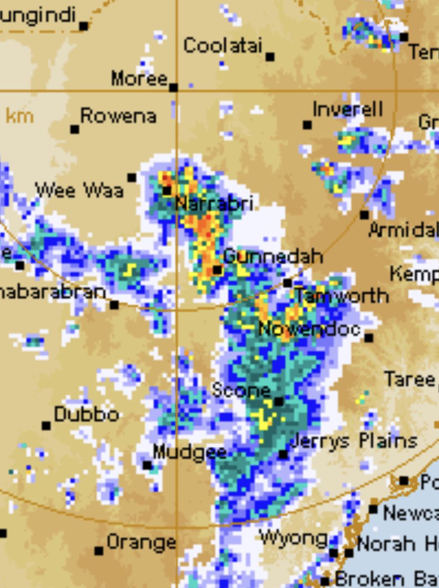 Bill Adams tweet media