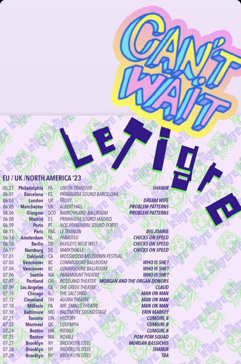 One of the best tours ever @chicksonspeed was touring US with @letigreworld NOW again! Honoured to be on the road with #letigre in europe in June ART POP MUSIC & POLITICS FOR POSITIVE SOCIAL CHANGE lets go!