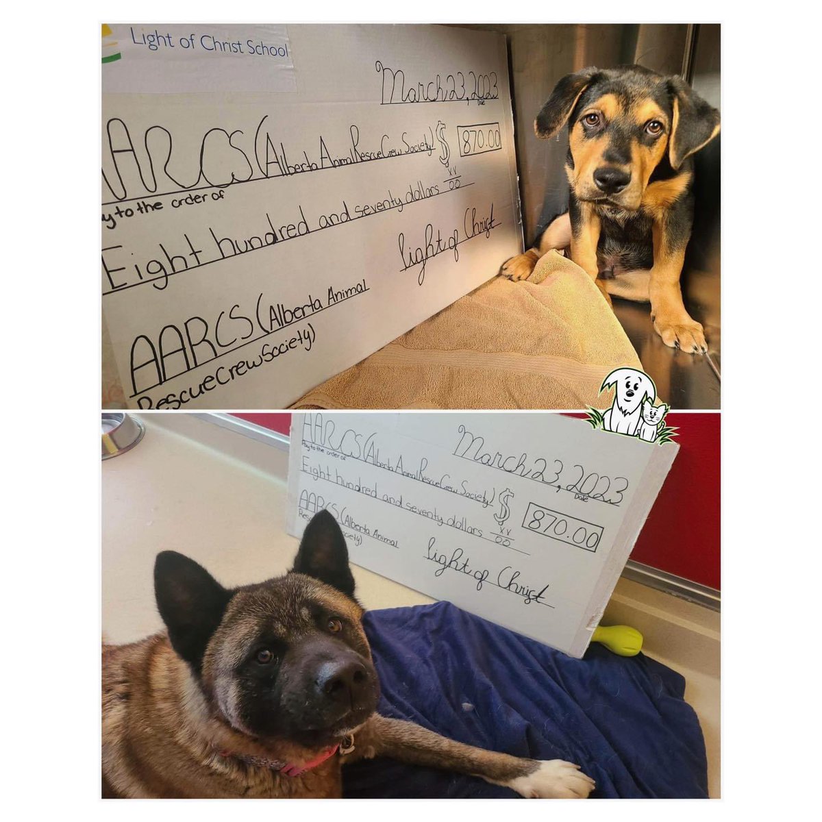AARCS_Canada's tweet image. We are SO grateful for the Grade 6 students of Light of Christ School. 🙏
They raised $870 for #AARCS by selling their beautiful crafts!
That will go a long way to support animals in need. 🐶🐱🐰
Your kindness and hard work are REALLY appreciated!  💙💜
#ThankfulThursday #yyc