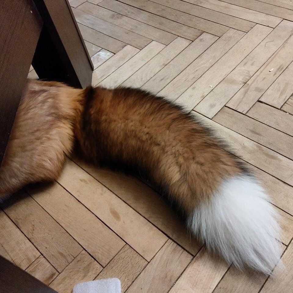 FopsHourly's tweet photo. [🔗](https://t.co/R2SsD2Vc3L) https://t.co/Fx6fQpcyRO