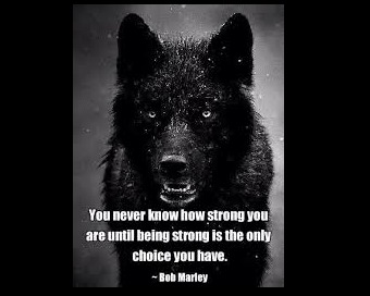 Stephentheinsu1's tweet photo. Customize your message here… #entrepreneurs #business #Businessman #businesswoman #financialadvisors #realestateinvestors #cobracoverage #accidentcoverage #nationwideppo #onthejobprotection #employeebenefits #anydoctor https://t.co/goUmRm8wlT