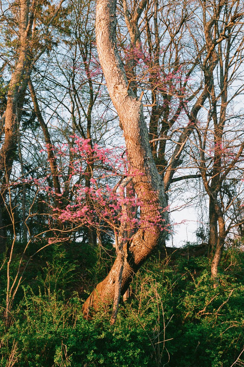 javi bolea (@boyinsleep) on Twitter photo 