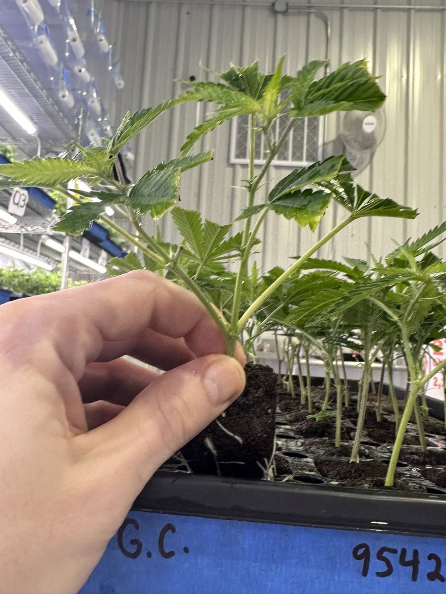 Smitty use to be here tweet media