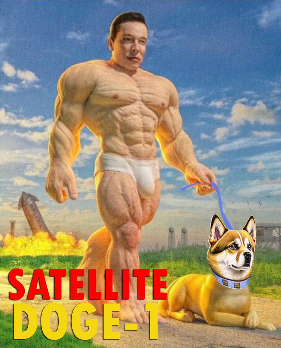 Satellite_Doge1's tweet photo. @elonmusk @cb_doge My owner is a legend 🐕 #satellitedoge1 https://t.co/s3FHNV9609