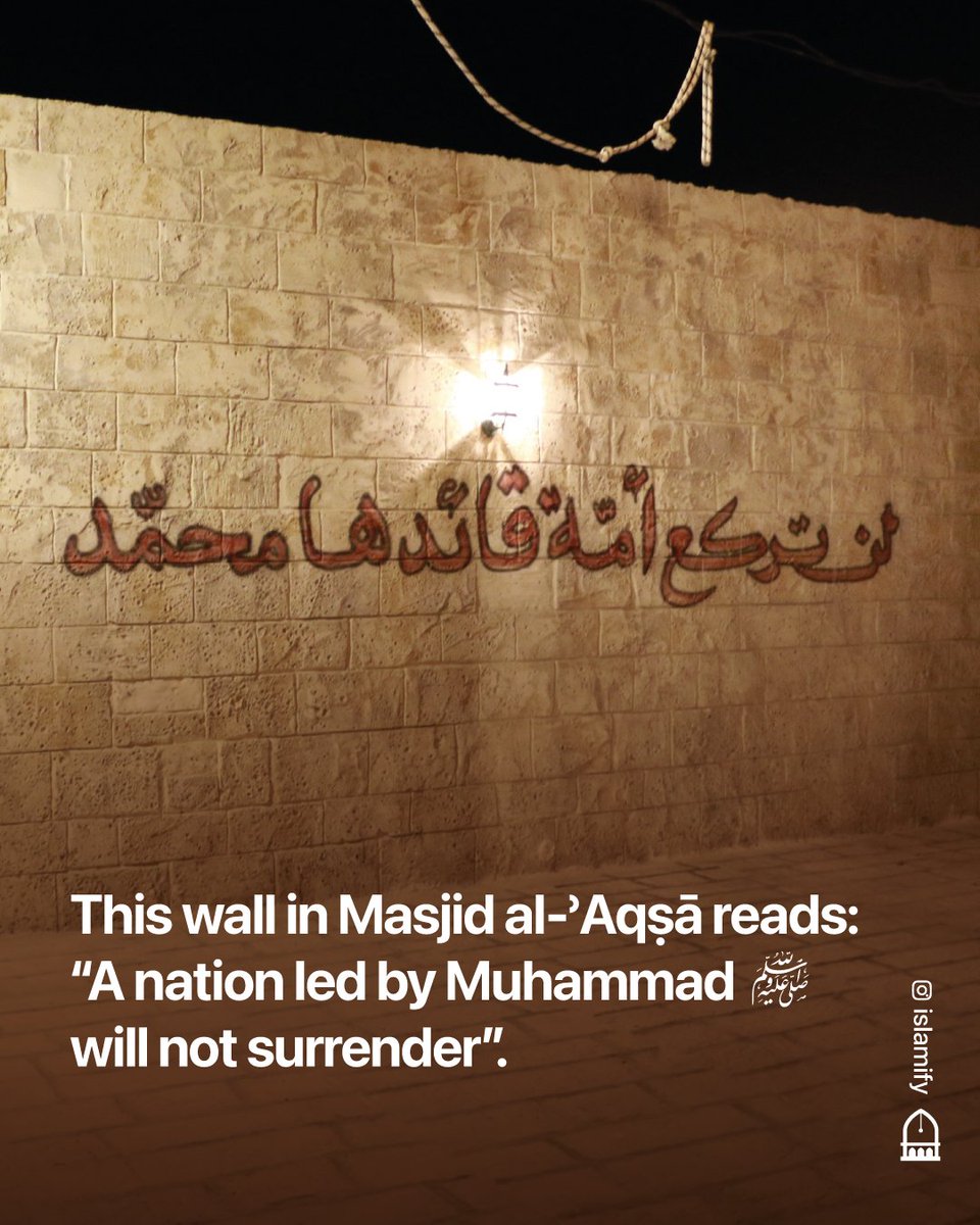 ArslanSethi13's tweet photo. We will not surrender🇵🇸
#فلسطين
#Iran https://t.co/PfdjsrFef3