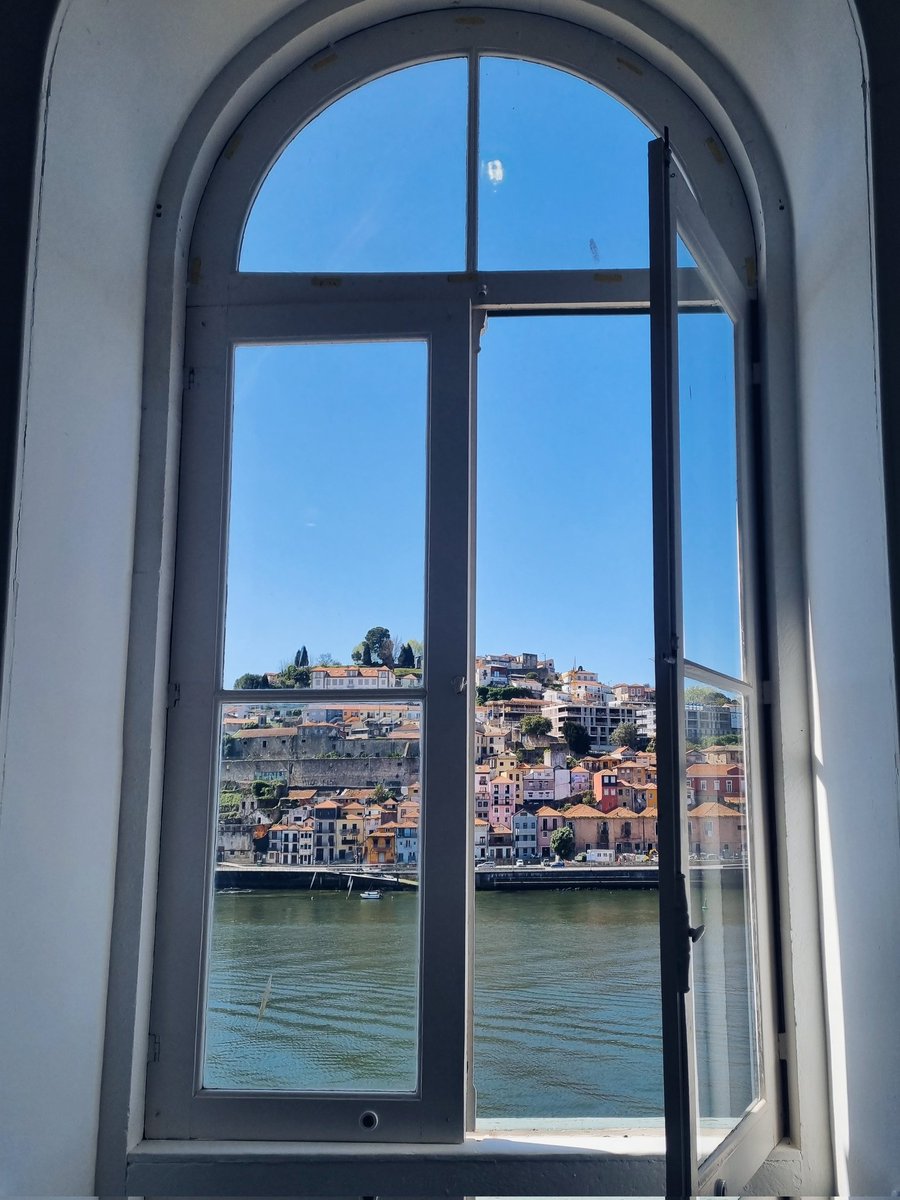 Liuba Dvinskikh tweet media