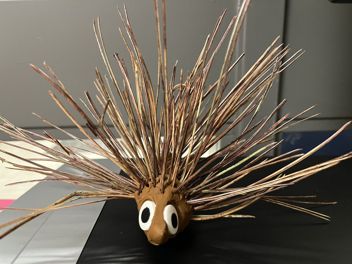 When a Planning Time teacher in your Dept is so creative! Porcupine made of clay and branches/twigs by a student in SUCCESS! It sits on my desk and smiles at me everyday ❤️