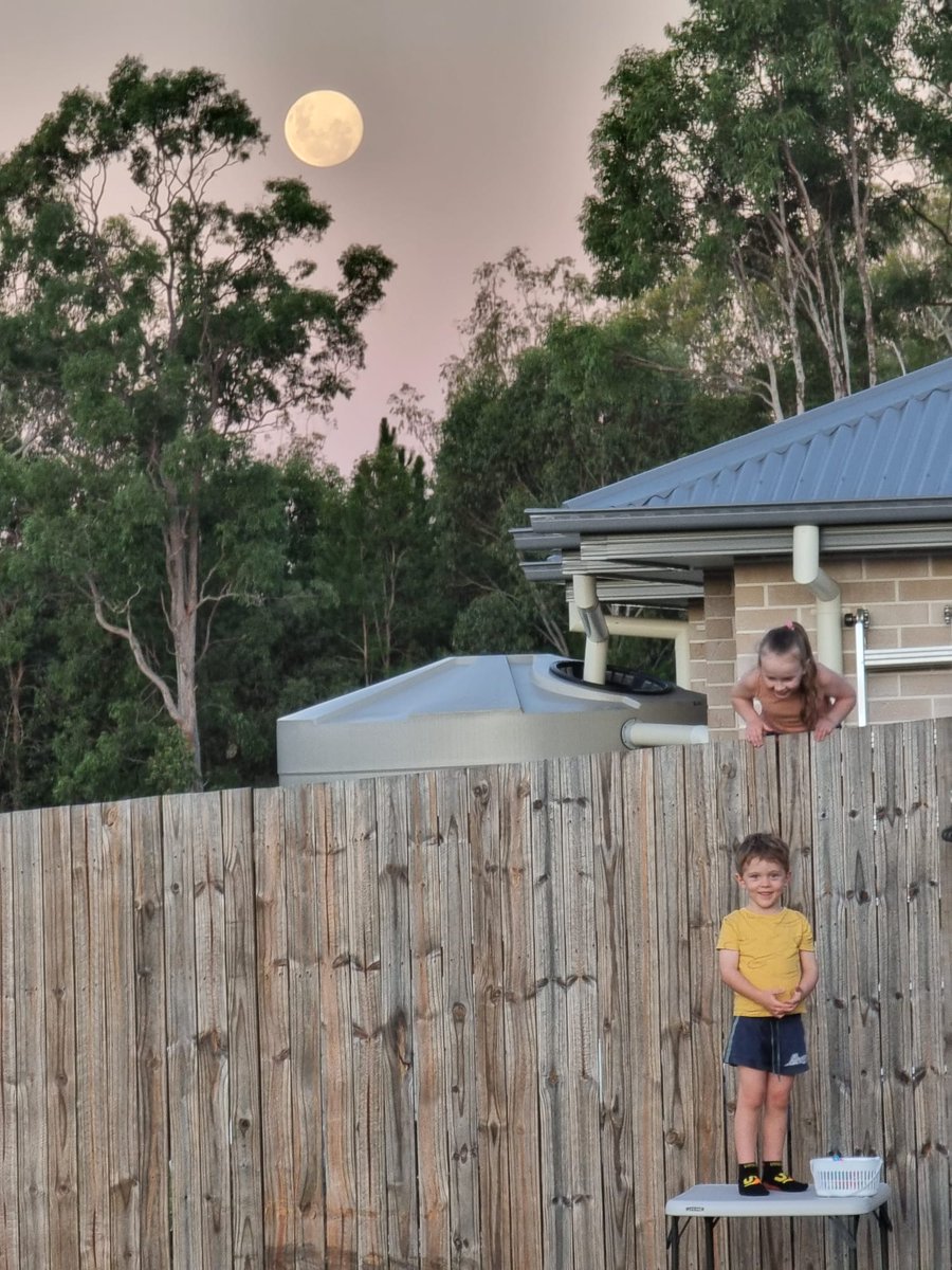 Absolutely love this photo of Sam having a chat with his mate next door a few evenings back. Very glad my clever husband captured the moment, grateful to live in such a beautiful spot ✨️🌛