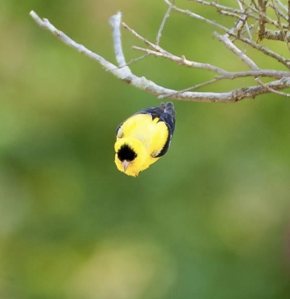 <a href="/Rainmaker1973/">Massimo</a> One that I shot a few years ago