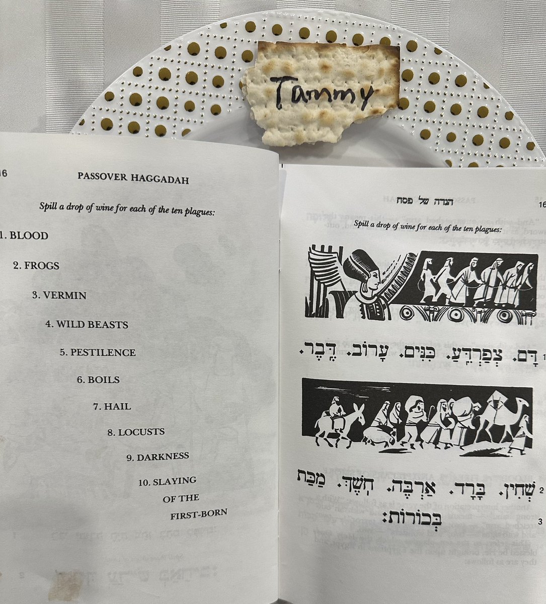 They forgot the plague that involves driving from downtown to Thorhill in rush hour on a long weekend 🥹
#ChagPesachSameach