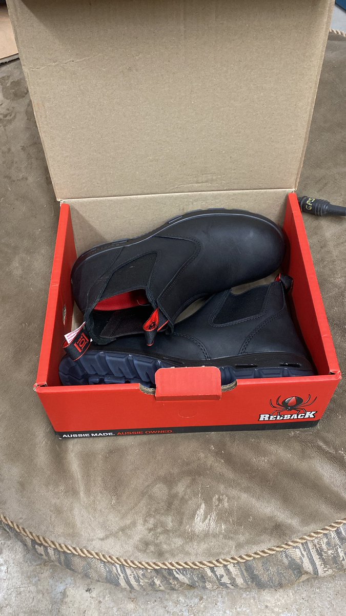 Adam Ireland tweet media