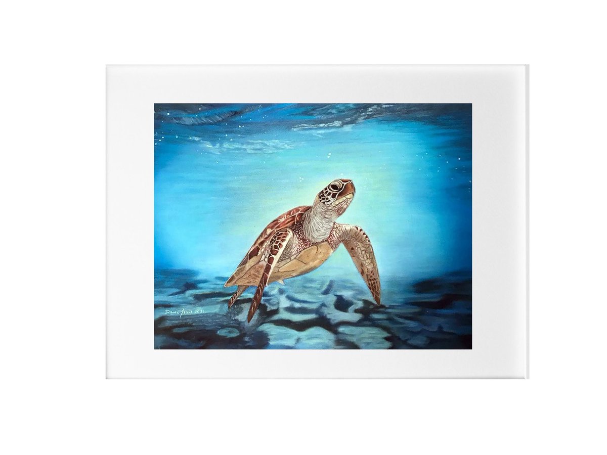 Save $12 today when you buy Sea Turtle Art Print  Pastel Painting by Dave Nevue  #seaturtledecor #coastaltropical  etsy.me/3UdSX7G