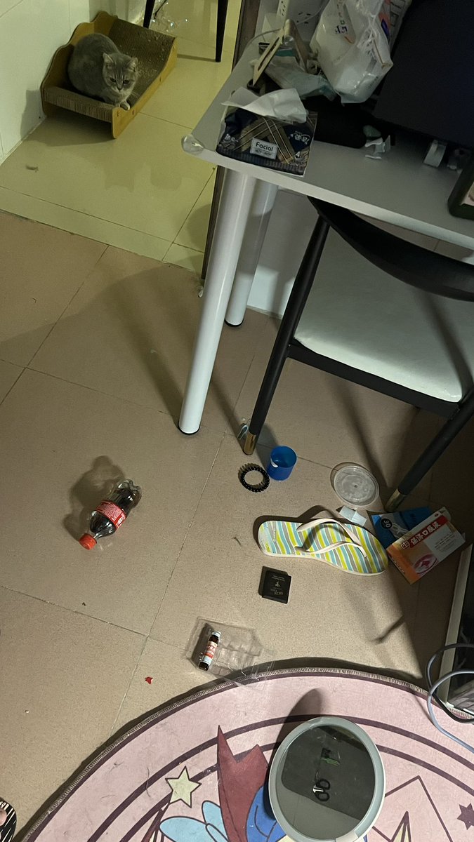 以为我家造偷了 https://t.co/v2LeGIDtjT