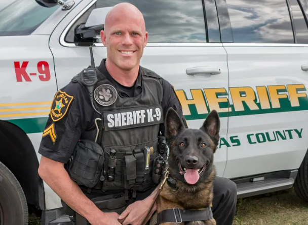 On Patrol K9 tweet media