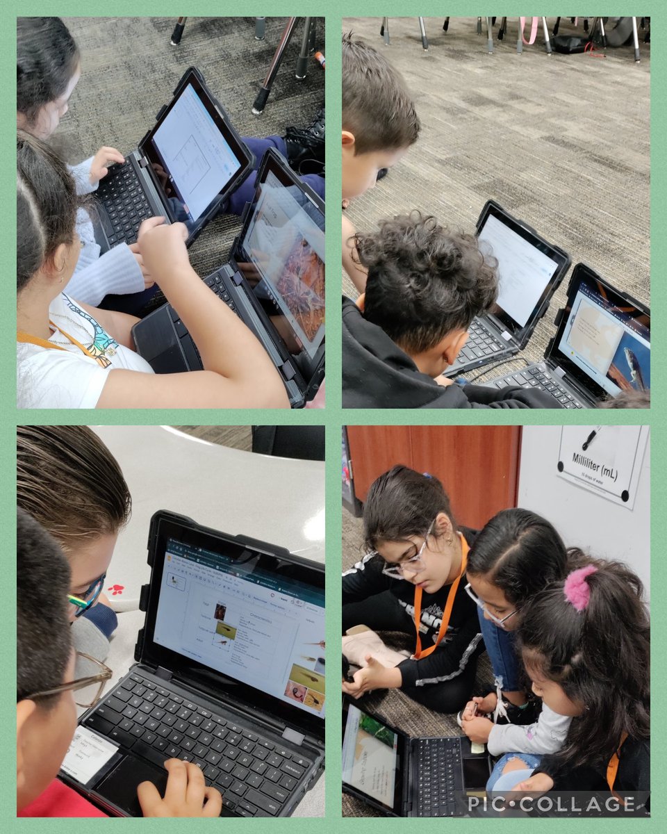 MMichelle425's tweet image. Students researched the life cycle of a frog and created a google slide that included characteristics of each stage of the life cycle! 🐸 @CFISDHolmsley @CFISDScience @joanne_gillock @FlanaganPam @JenniferLDuke