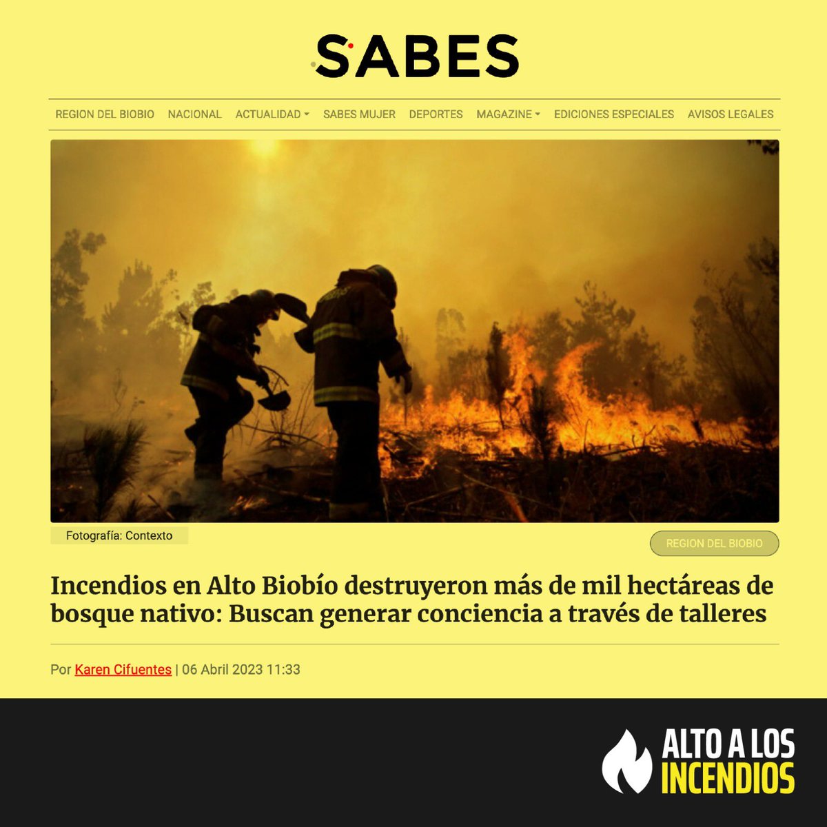 Alto Incendios (@altoincendios) on Twitter photo ⚠️ALERTA AMARILLA⚠️ para Alto Biobío, debido a los incendios forestales que han provocado la destrucción de más de mil hectáreas de bosque nativo🥺.
El municipio, junto a <a href="/conaf_minagri/">CONAF - Corporación Nacional Forestal</a> , realizarán talleres para crear consciencia entre los vecinos/a
¿Qué piensas de esta idea? ⚠️ALERTA AMARILLA⚠️ para Alto Biobío, debido a los incendios forestales que han provocado la destrucción de más de mil hectáreas de bosque nativo🥺.
El municipio, junto a <a href="/conaf_minagri/">CONAF - Corporación Nacional Forestal</a> , realizarán talleres para crear consciencia entre los vecinos/a
¿Qué piensas de esta idea?