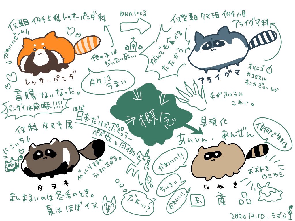 tanuki_008's tweet photo. たぬきは概念です。 https://t.co/BLztNXPbaK