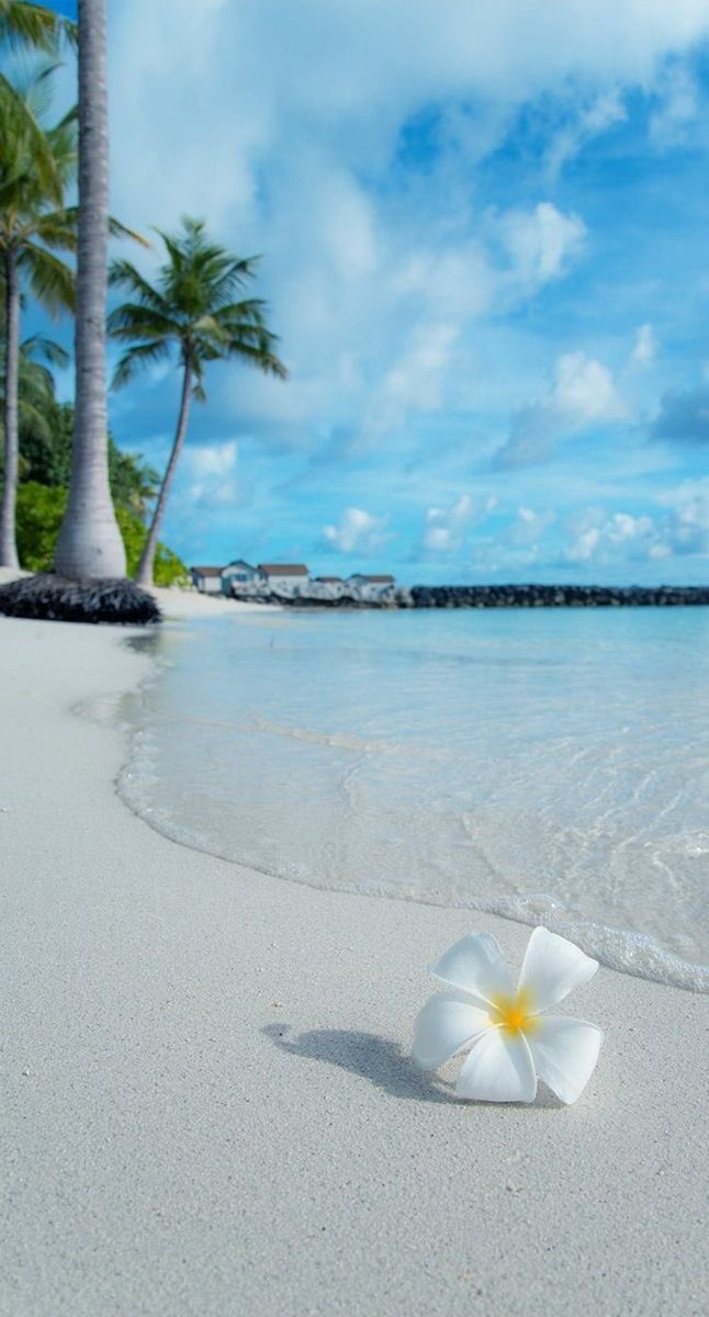 World Wonders (@poulmaskey) on Twitter photo 