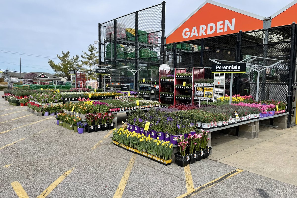LennyfrischPPS's tweet photo. πΈSpring-a-ling!πΌ HD1973 Edwardsville,IL #perennial #tulip #Hyacinth #callalilly #clematis #dianthus #lithodora #phlox #Homedepot #illinois #edwardsville #garden #spring @pps_s_atlantic @PPSinHD @DyerEric18 @Stephen_E_Camp @rebecca_hegner https://t.co/yhkRe16gko