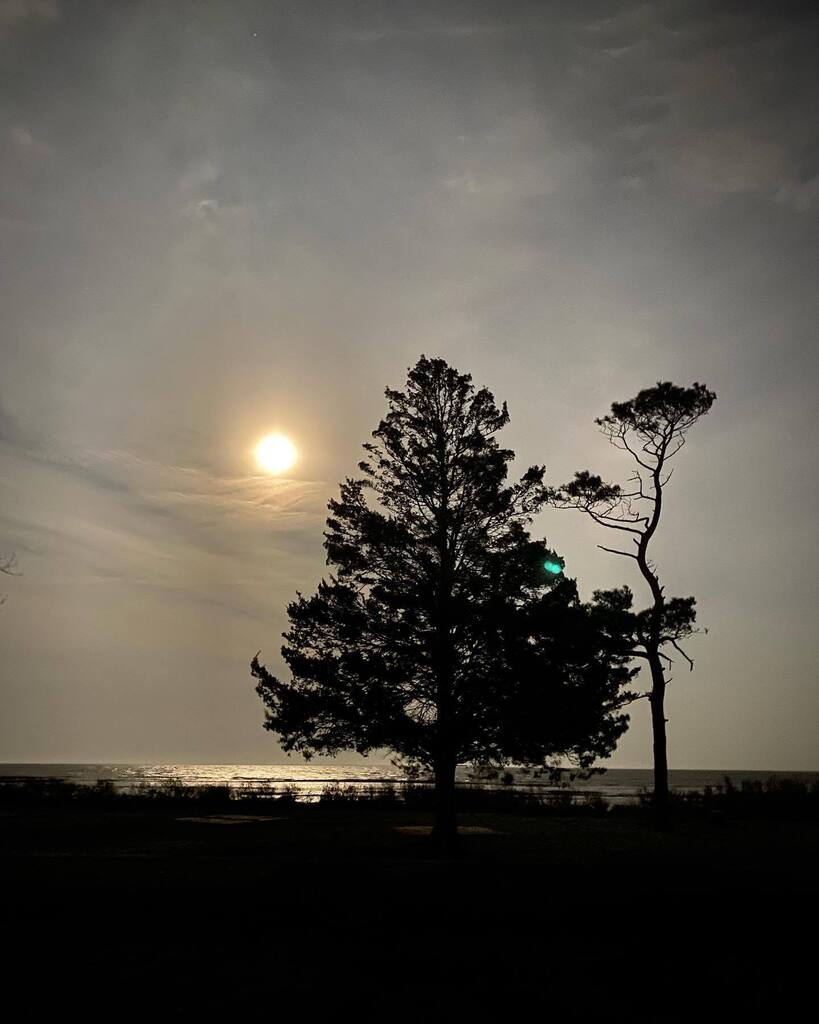 christarry's tweet image. Camping on the coast of Virginia. instagr.am/p/Cqtwt2wJoI5/