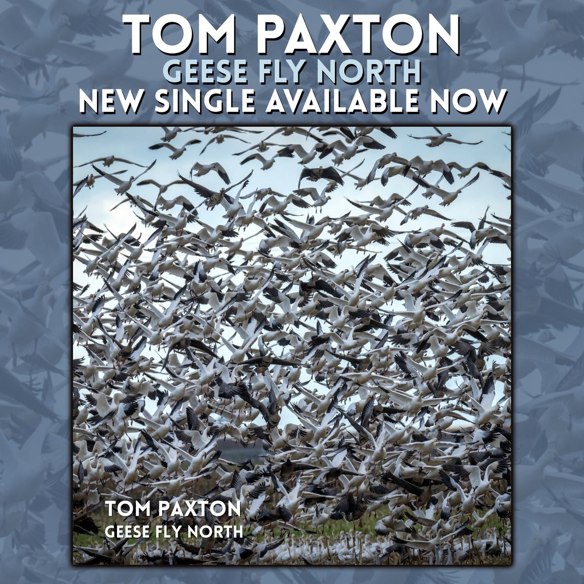 The brand new single from Tom Paxton (Co-written with Jackson Emmer) is available NOW!

Stream and/or download the new track here: distrokid.com/hyperfollow/to…