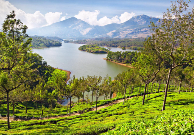 Indian_Hideouts's tweet photo. Lost in the beauty of Munnar, India - where the tea gardens meet the misty mountains. #Munnar #India #TravelGoals #IncredibleIndia #Indianhideout https://t.co/DQ8NuRow0t