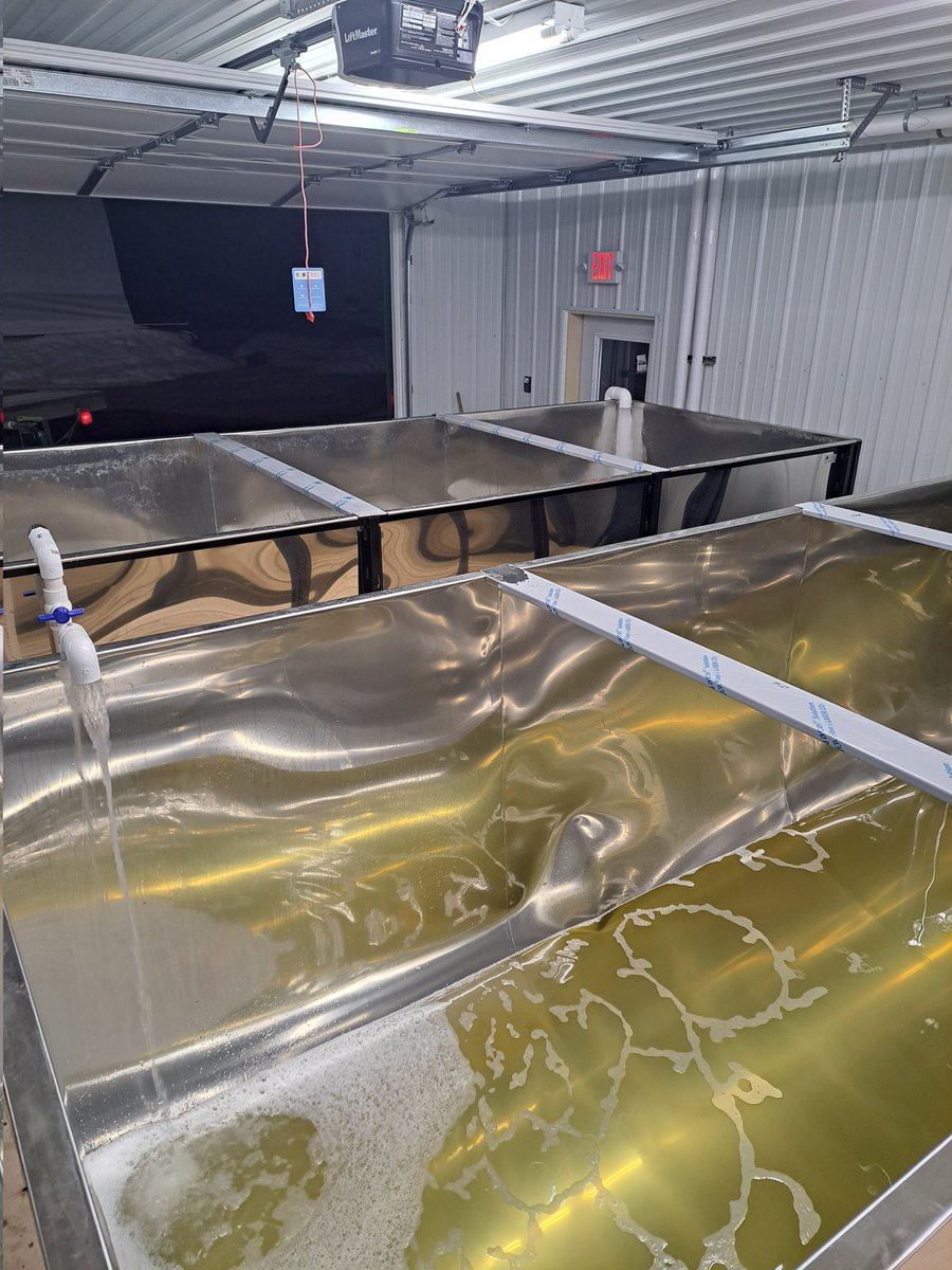 yooperforestry's tweet image. So far in the spring 23 syrup season the @MSUAgBio forestry innovation cemter  in the UP has handled 22k gallons of raw sap as part of 4 @usda  grants. late night hauling and running sap thru a Reverse Osmosis unit to remove water #maplesyrup #yoopergold #msue2023 #spartan