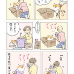 段ボールを片付けたり、衣服を捨てたりする前に一度･･･!とっても可愛い「犬漫画」!