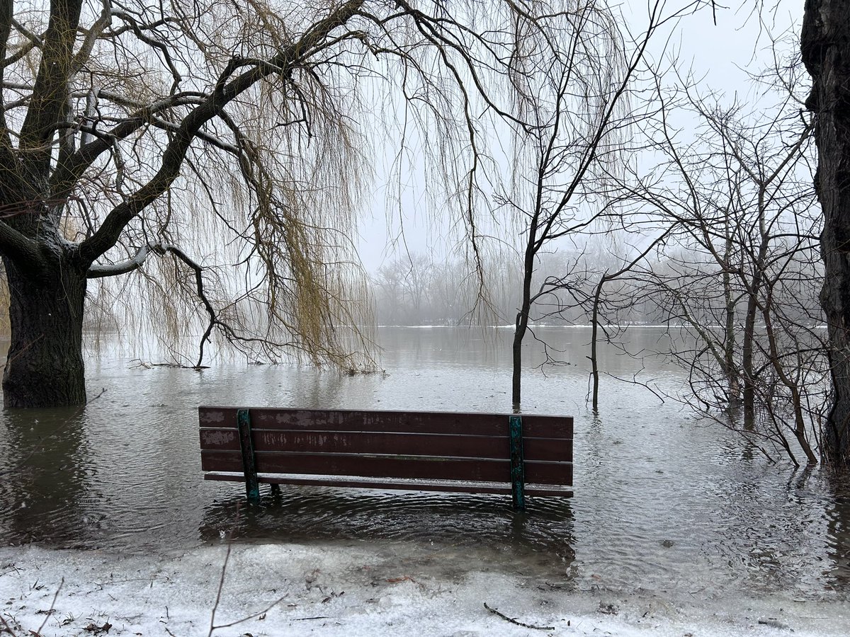 LeeJ29's tweet image. Caption this? #SpringFinally #BrantwoodPark #RideauRiver