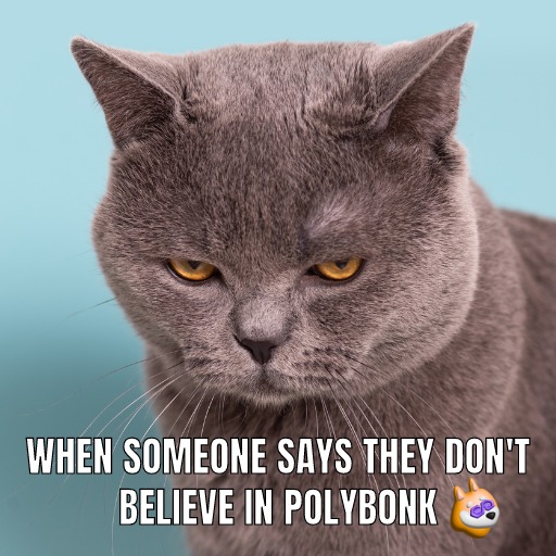 polybonk_POBO's tweet photo. 🤔💭 Don't believe in the power of PolyBonk? Think again! Our dedicated team and passionate community are driving us to new heights every day. Invest now and see for yourself why PolyBonk is the meme coin to watch! 🌟🚀 #PolyBonk #MemeCoin #Crypto 🤔💭 https://t.co/3eAAwUSWPJ