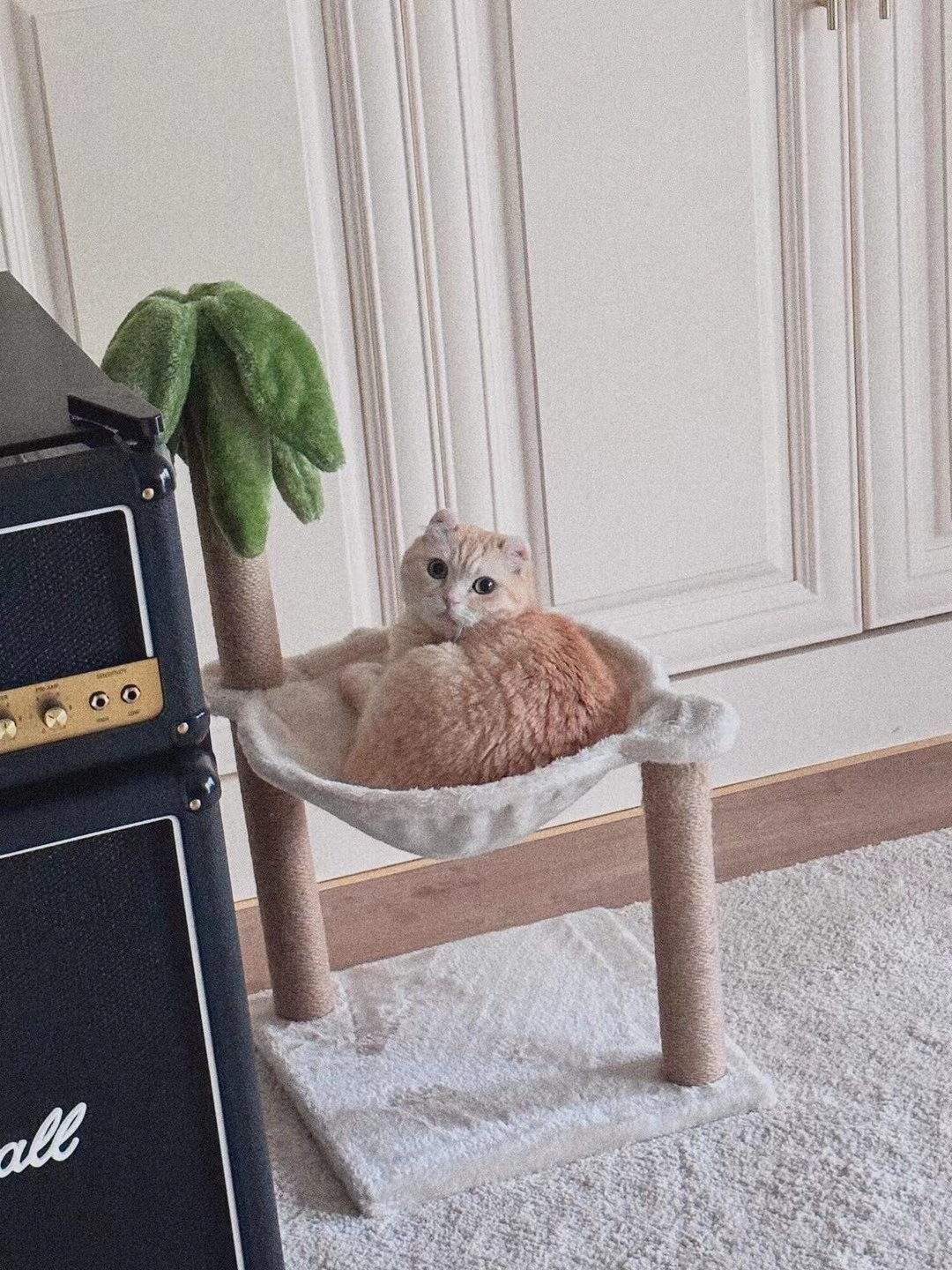 seangordon-seangor41697040-twitter