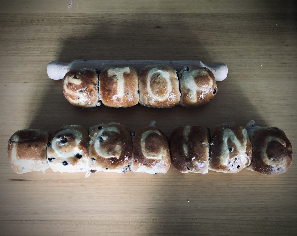 Hot and very cross buns.

Stop logging native forests, it’s a no brainer, even the buns know it.