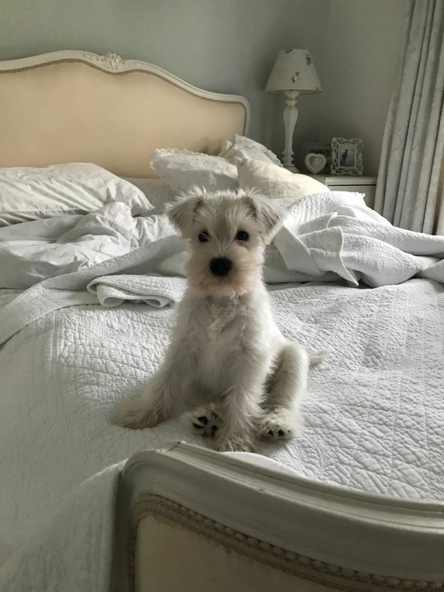 Dzień dobry kochani, miłego dnia!❤️
Dziś piątek, życzę Wam powodzenia we wszystkich dzisiejszych obowiązkach, trzymam za Was mocno kciuki, wierzę w Was. Pamiętajcie żeby coś zjeść i pić, dbajcie o siebie, jesteście cudowni, uśmiechajcie się i uwierzcie w siebie! Kocham 🥰