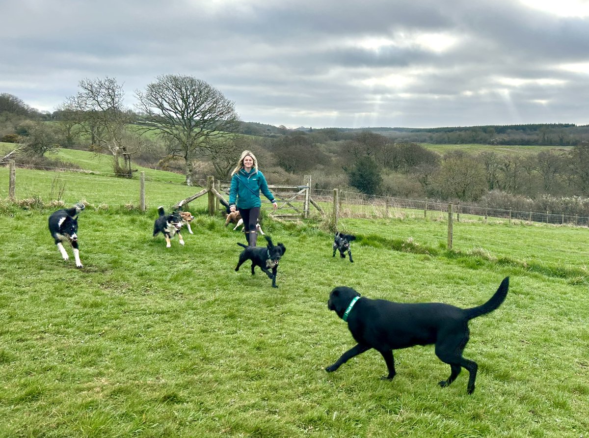 We have a new team member 🤩
Please join us in welcoming Caitlin! Caitlin has over three experience working in busy dog daycare facilities and has a Level 3 Animal Management qualification. She’ll be working full-time alongside Sian and Jess and our guests love her already too 🥰