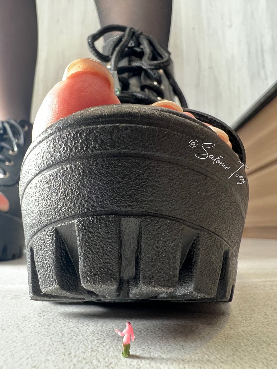 SalomeSaSa tweet media