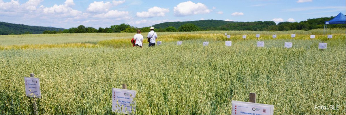 BZL_aktuell's tweet image. Wie muss die #Öko-Forschung aufgestellt sein, um das 30-Prozent-Ziel im #Ökolandbau zu erreichen? Diese Frage diskutierten Fachleute aus #Forschung, Beratung und Politik auf einer Veranstaltung der diesjährigen Wissenschaftstagung Ökologischer Landbau.
➡ fcld.ly/1j07b8r