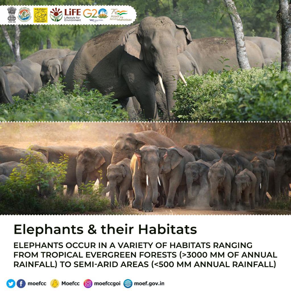 Elephants and their Habitats #GajUtsav