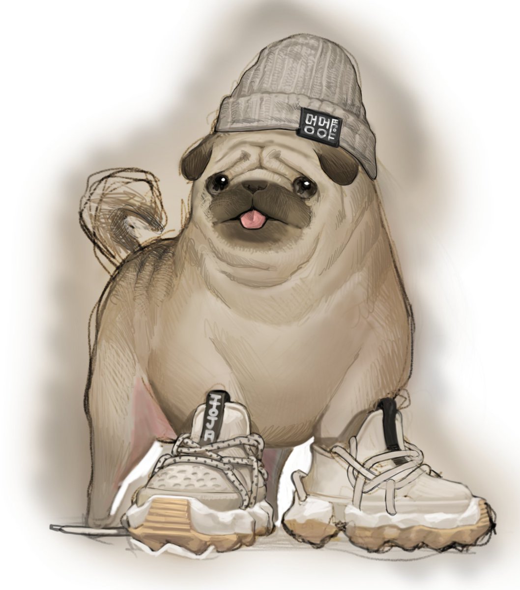 dog hat no humans shoes sneakers beanie animal focus  illustration images