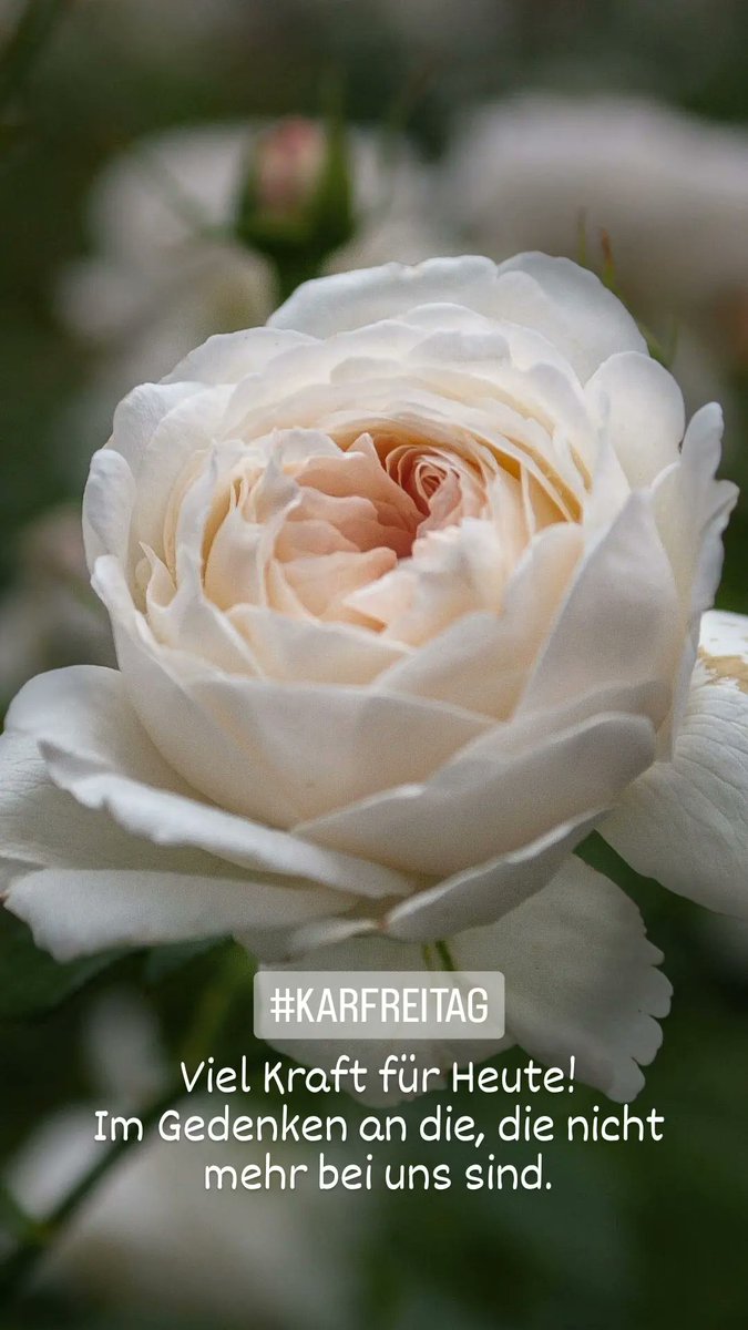 Ursula Klupp (@uklupp) on Twitter photo 