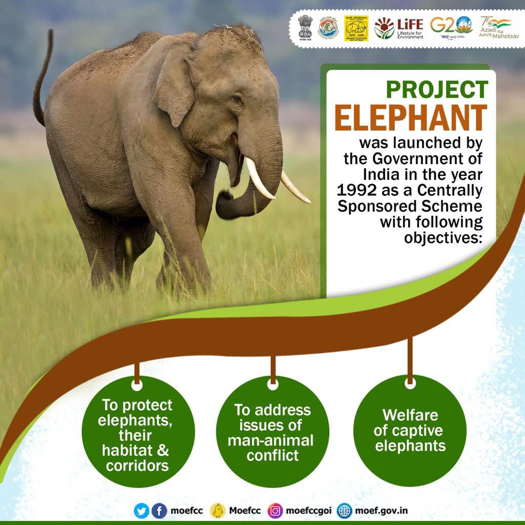 The aim of #ProjectElephant is to ensure the protection of elephants and their habitats. #GajUtsav