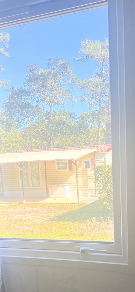 PikupikuAlex's tweet photo. Hoy remoloneo en la cama porque veo, porque me da la gana
Os dejo mi ventana
Egun on!
#colorinchis https://t.co/YZ92Z4Jt2e