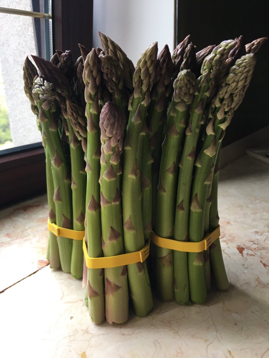 Нагадаю, що ви не просто купуєте смачну свіжу спаржу, а підтримуєте мале фермерство і працівників, які працюють тут. Як завжди, частину грошей в кінці сезону буде передано на потреби Армії, обовязково буде підсумковий пост.
Лайк, ретвіт та Слава Україні!