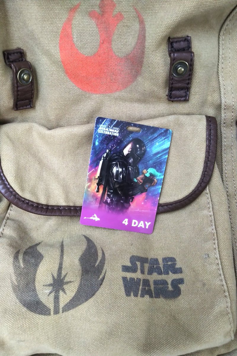 This is the way....  #SWCE2023 #SWCelebration #MTFBWY