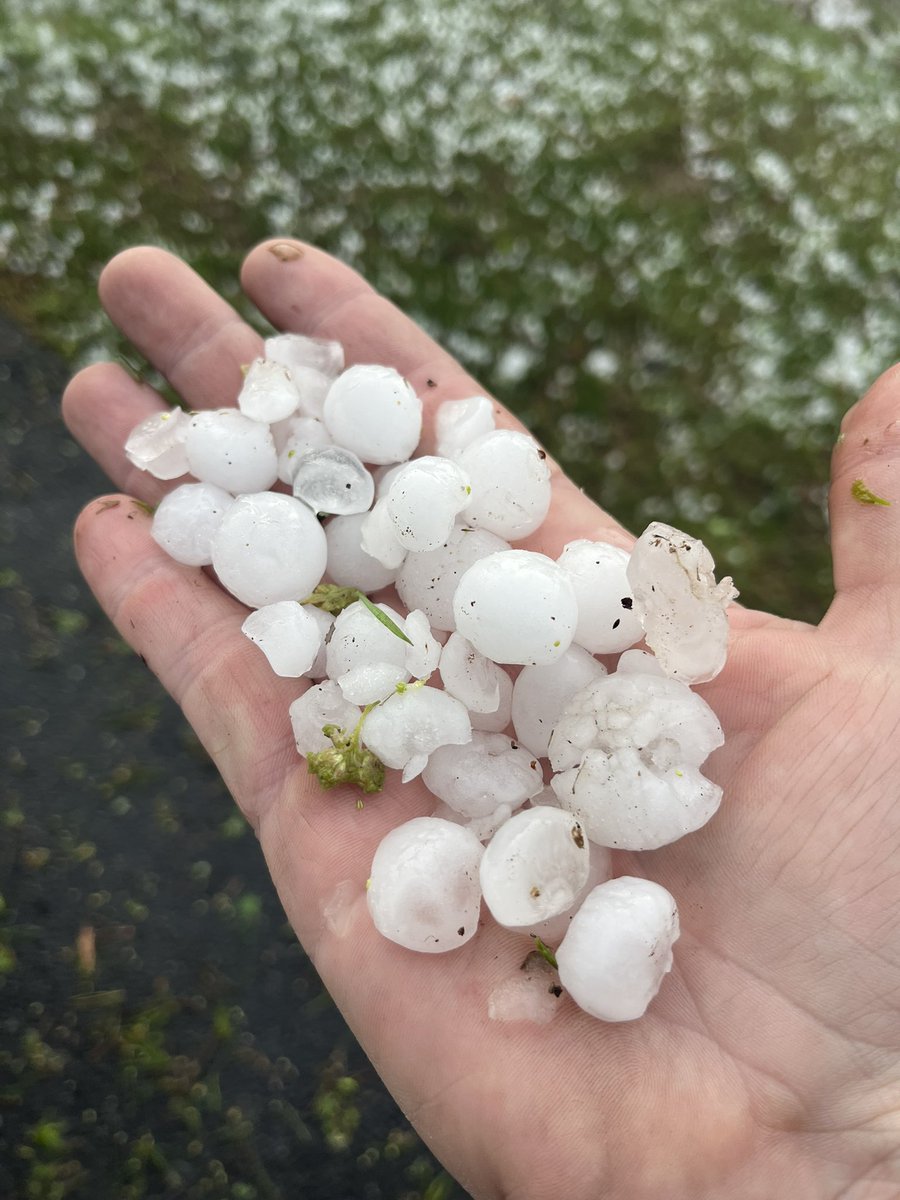 OfficerBrian728's tweet photo. Not a good day. Cars dented. Siding and roof damage from hail in Hughesville, Md. @WTOPWeather @weatherchannel @NWS @SOMDWxNews https://t.co/fCIEKXrLAG